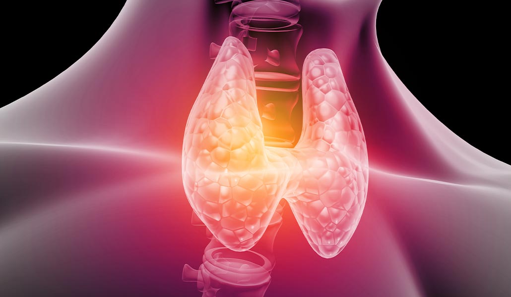 Red Light Therapy & Thyroid Health Envy Light Capsule